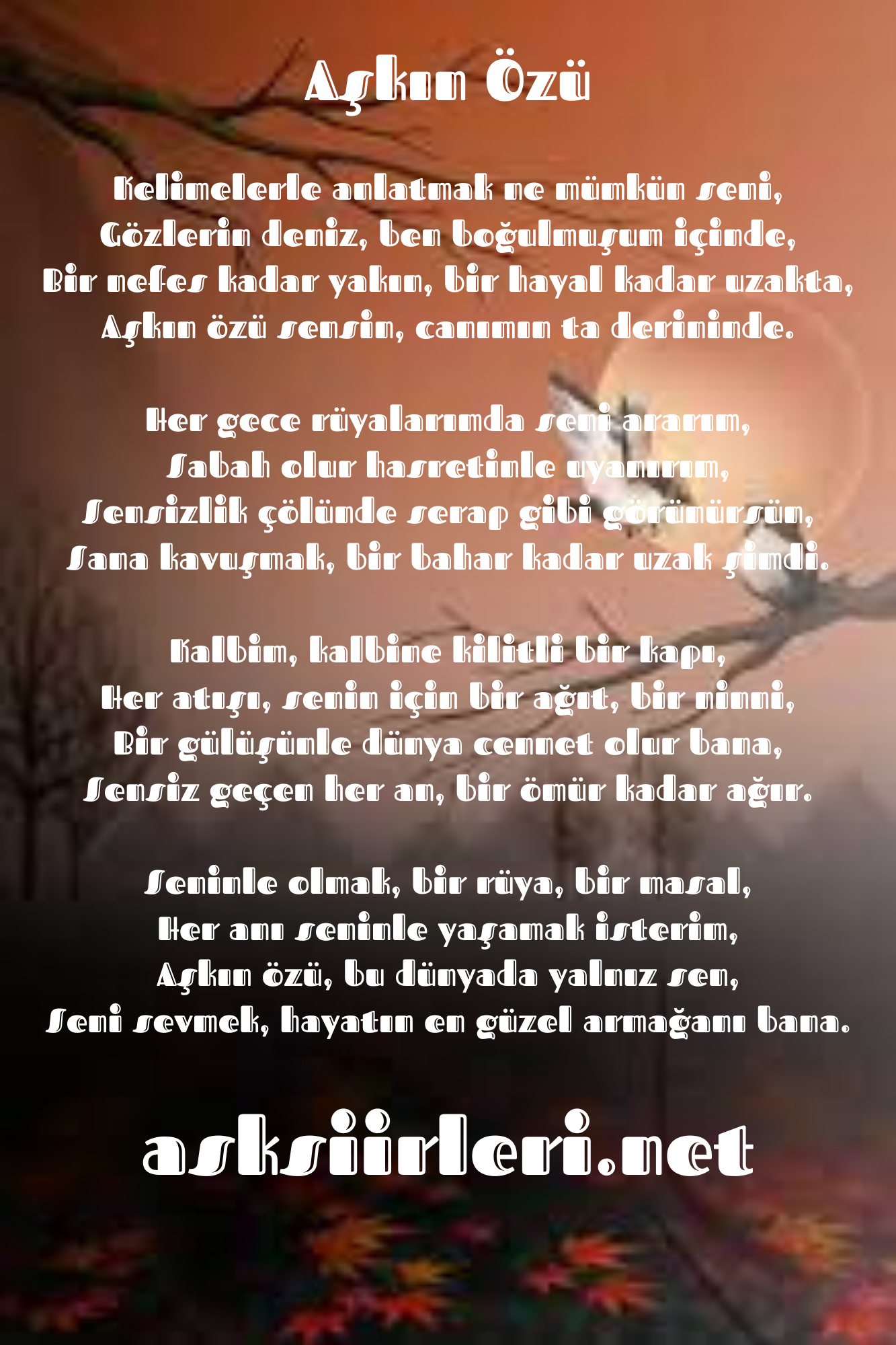 Aşkın Özü | Etkileyici Aşk Şiirleri | 2024