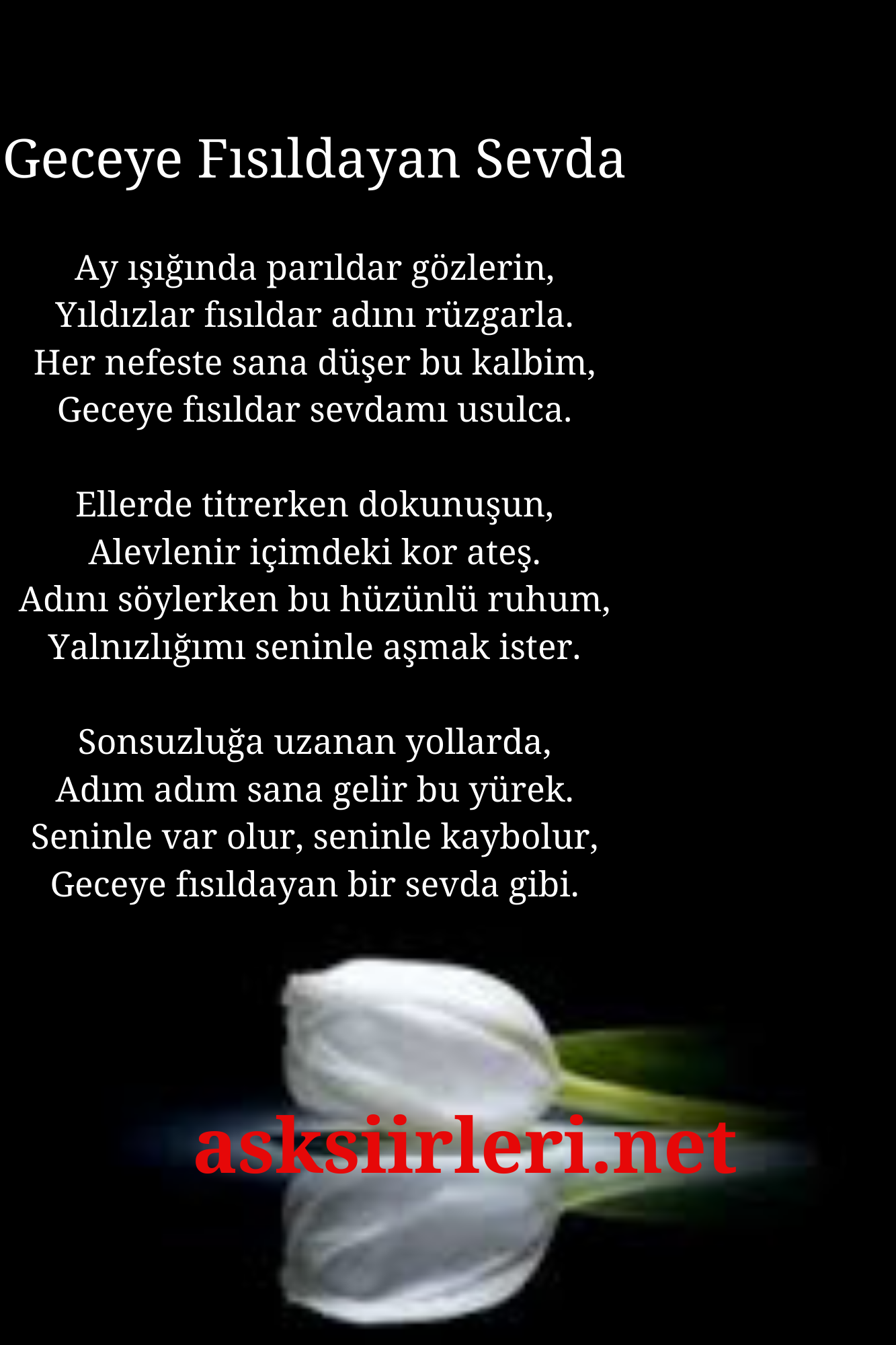 Geceye Fısıldayan Sevda | En Güzel Aşk Şiirleri | 2024