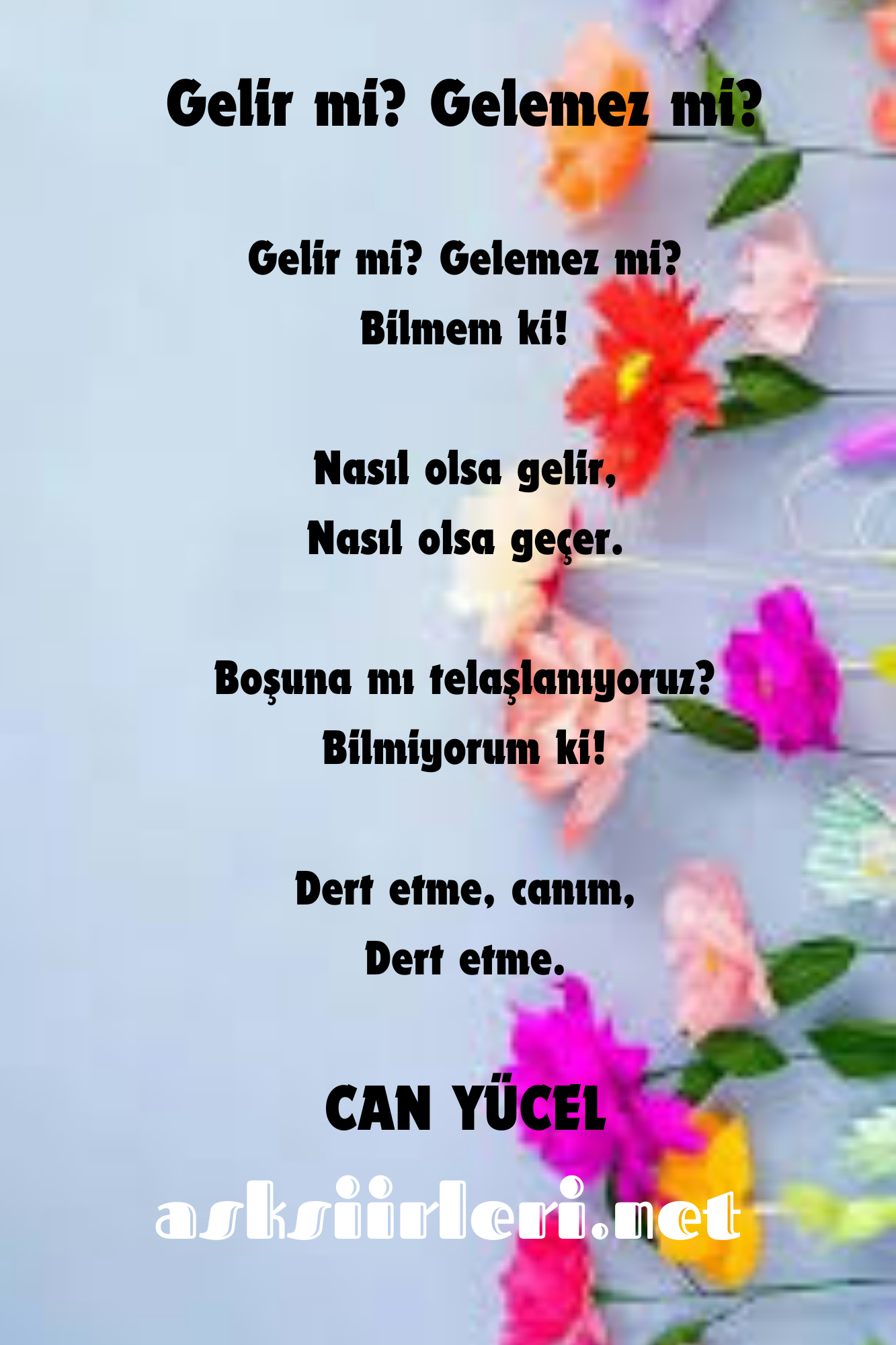 Gelir mi Gelemez mi | Can Yücel Şiiri 