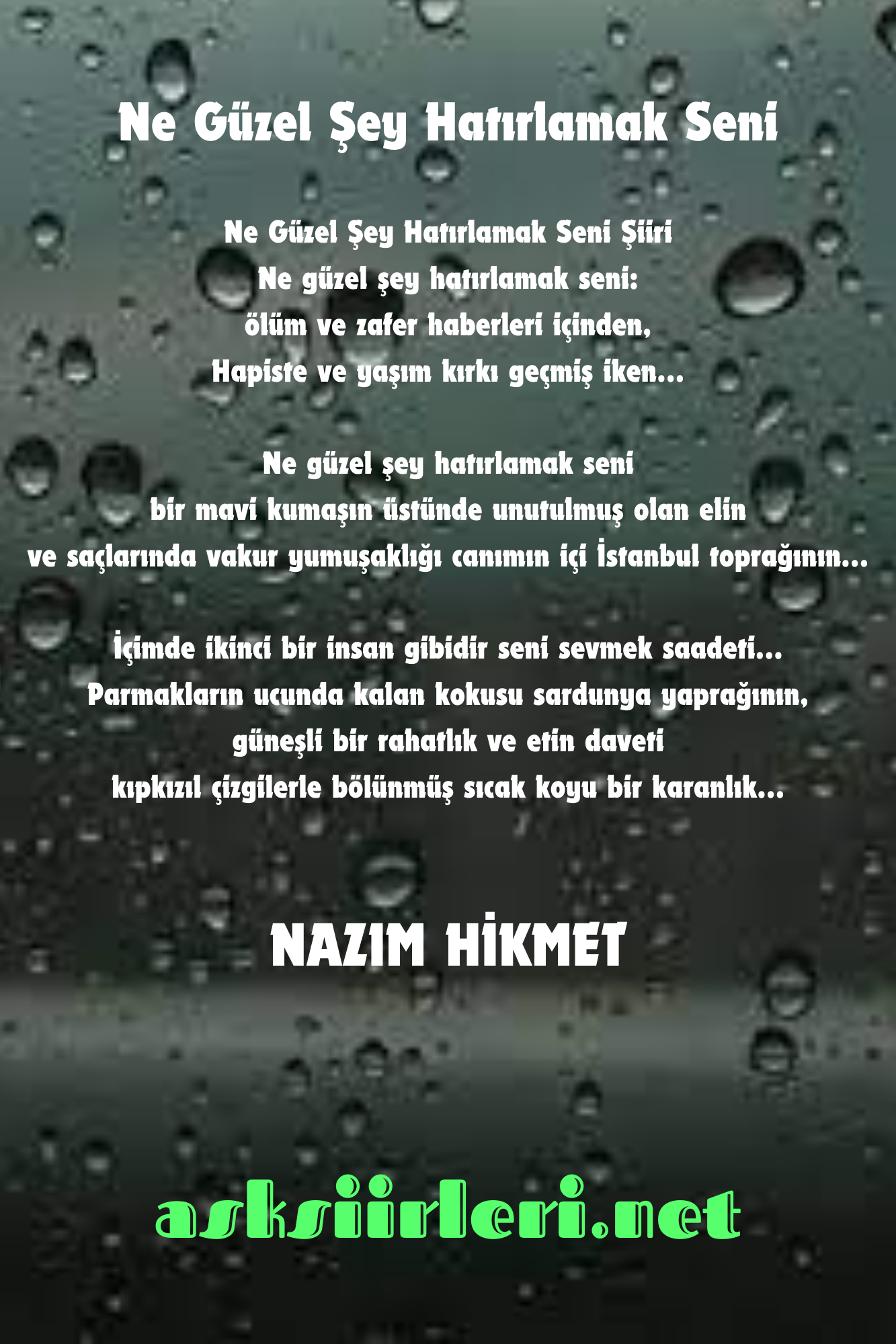Ne Güzel Şey Hatırlamak Seni | Nazım Hikmet | 2024