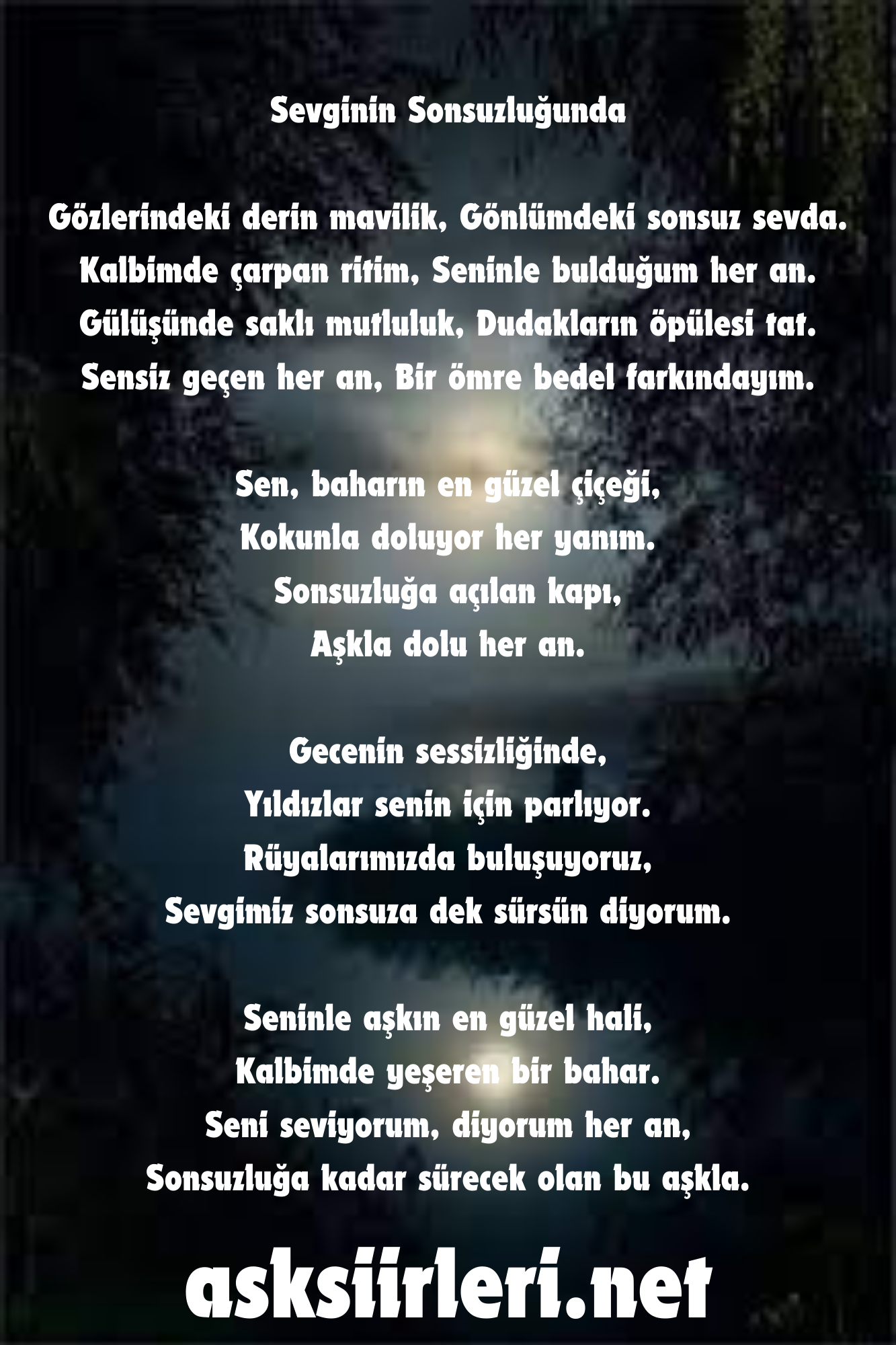 Sevginin Sonsuzluğunda Siiri | 2024