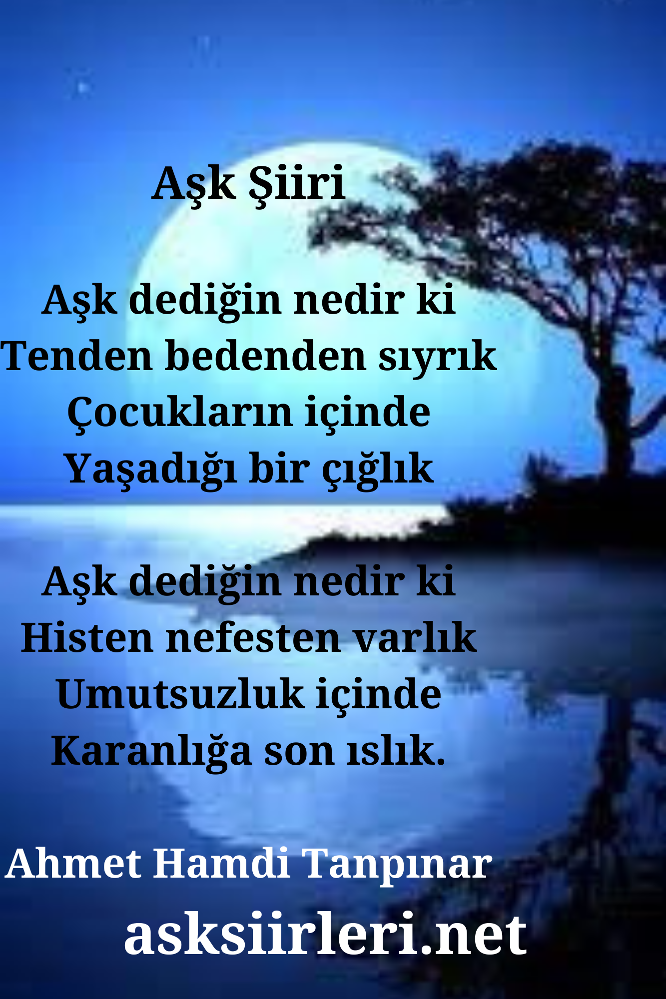 Aşk | Edebi Şiir | Ahmet Hamdi Tanpınar 2024