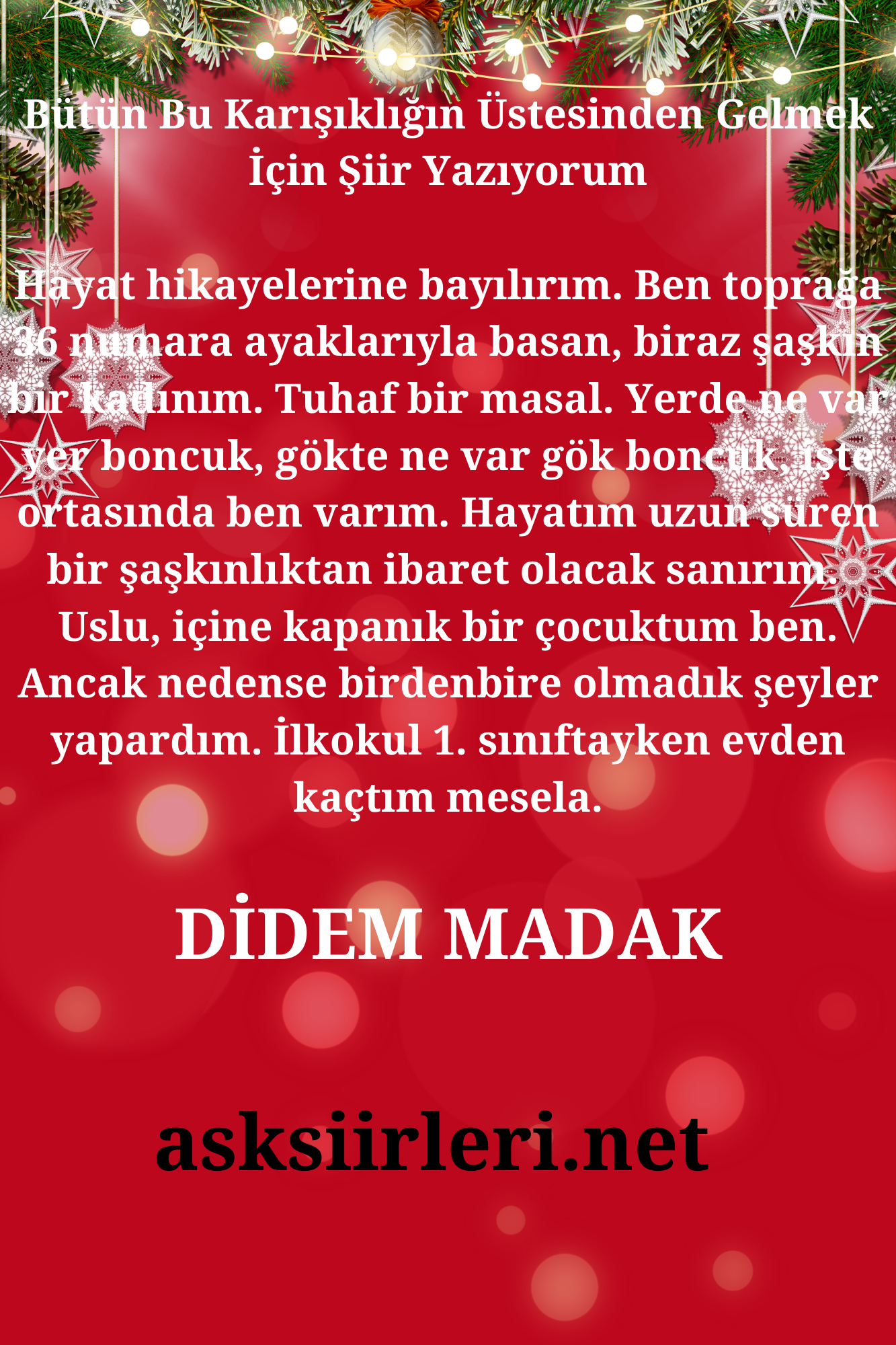 Bütün Bu Karışıklığın Üstesinden Gelmek İçin Şiir Yazıyorum | Didem Madak | 2024