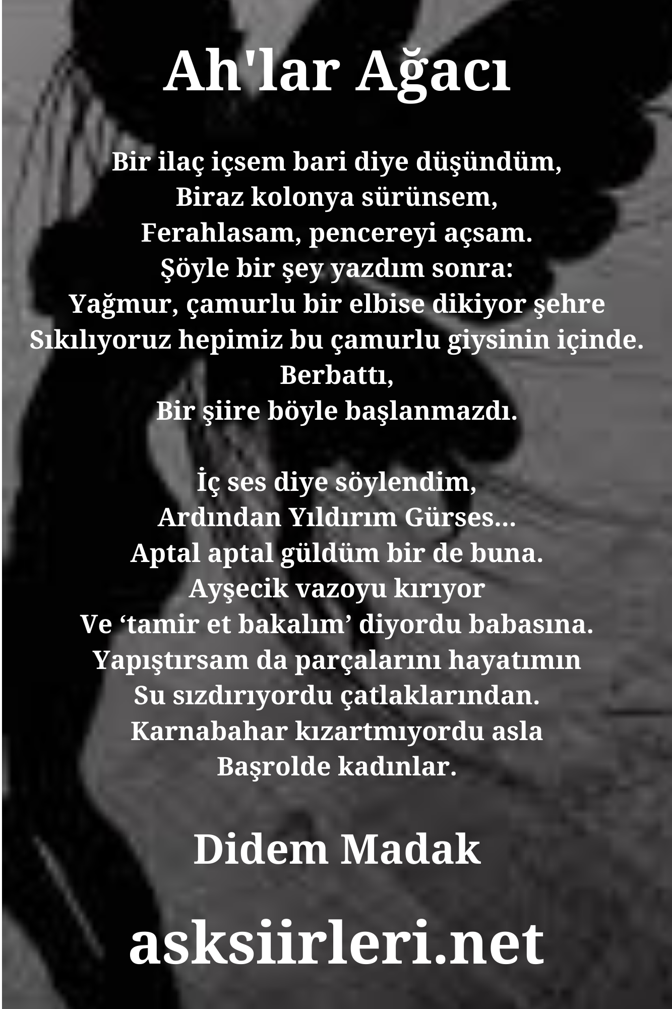 Didem Madak | Ah’lar Ağacı | 2024