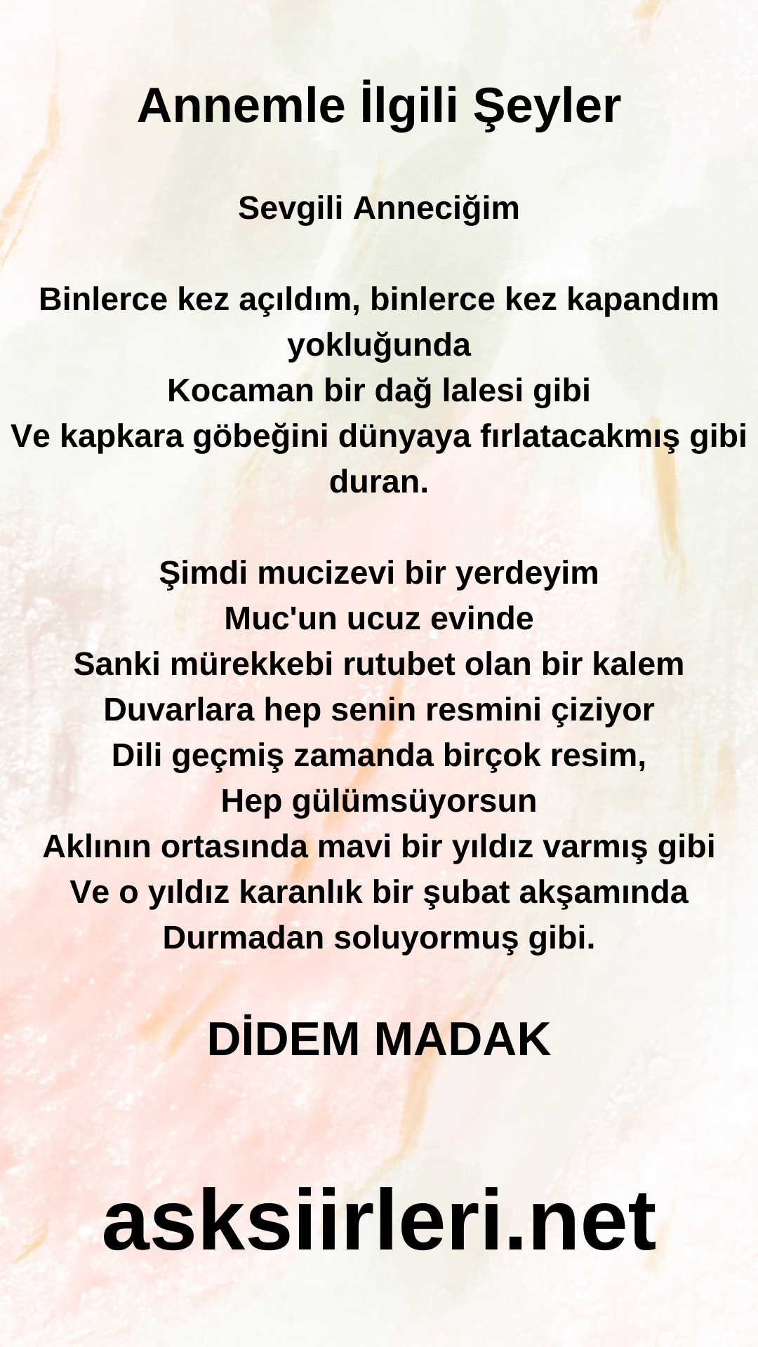 Didem Madak | Annemle İlgili Şeyler | 2024