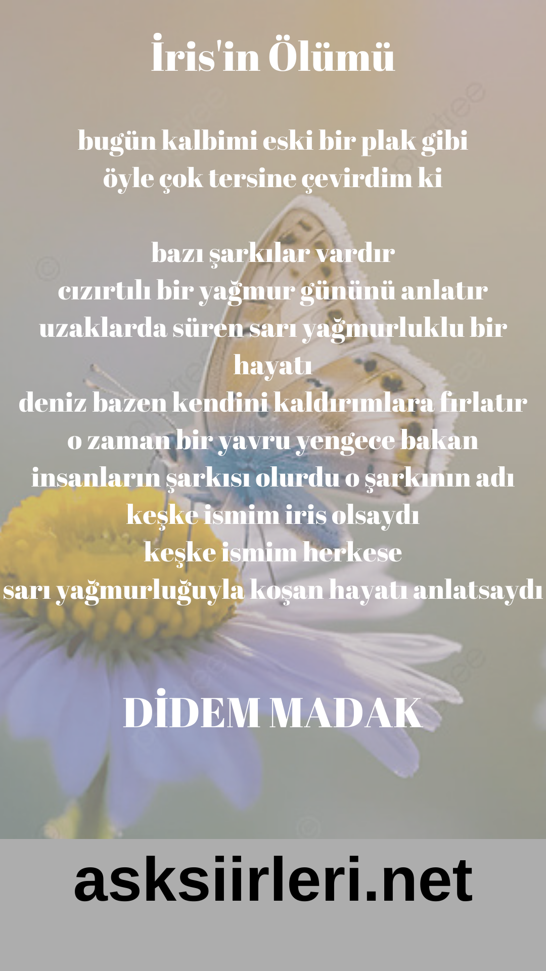 Didem Madak | İris’in Ölümü | 2024