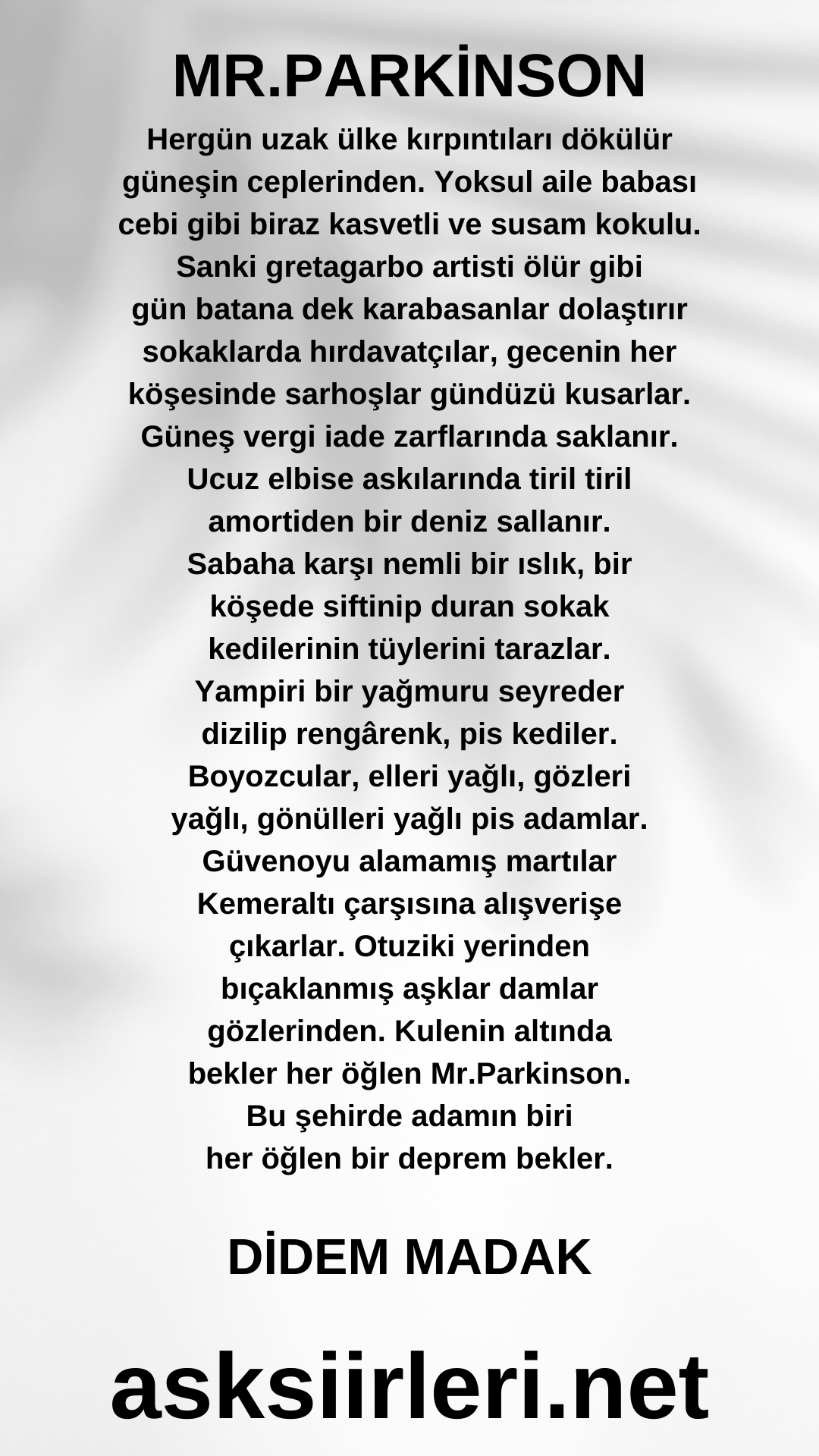 MR. PARKİNSON | Didem Madak | 2024