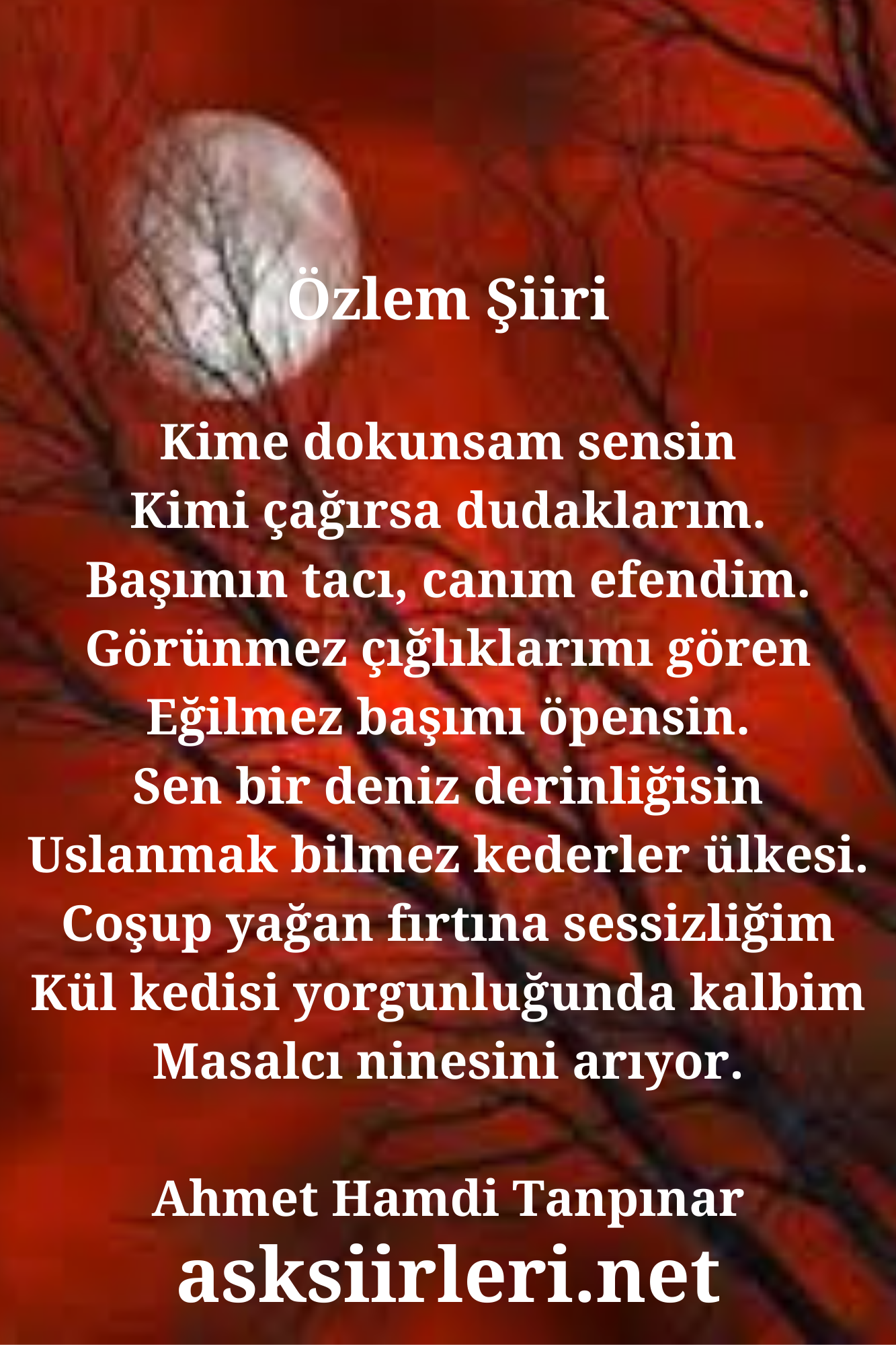 Özlem | Edebi Aşk Şiirleri | 2024