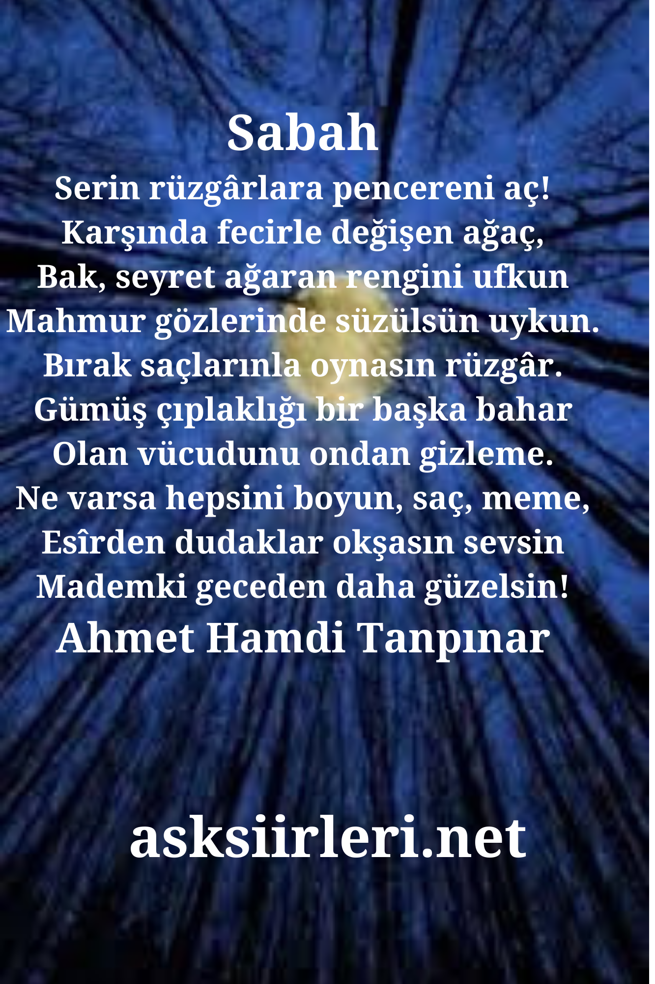 Sabah | Ahmet Hamdi Tanpınar | 2024