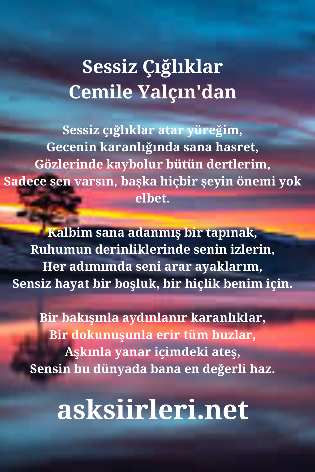 Sessiz Çığlıklar | Cemile Yalçın | 2024
