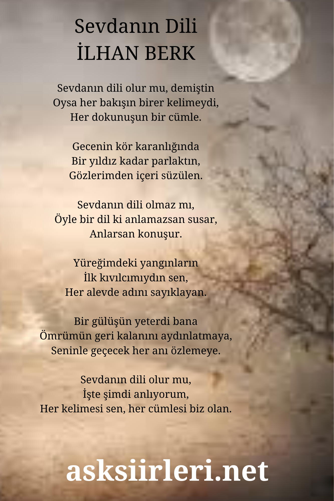 Sevdanın Dili | İlhan Berk Aşk Şiirleri | 2024