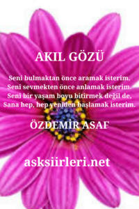 Akıl Gözü | Özdemir Asaf | 2024