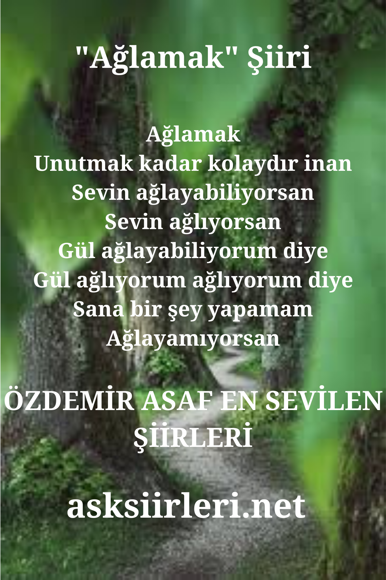 Özdemir Asaf | Ağlamak | 2024