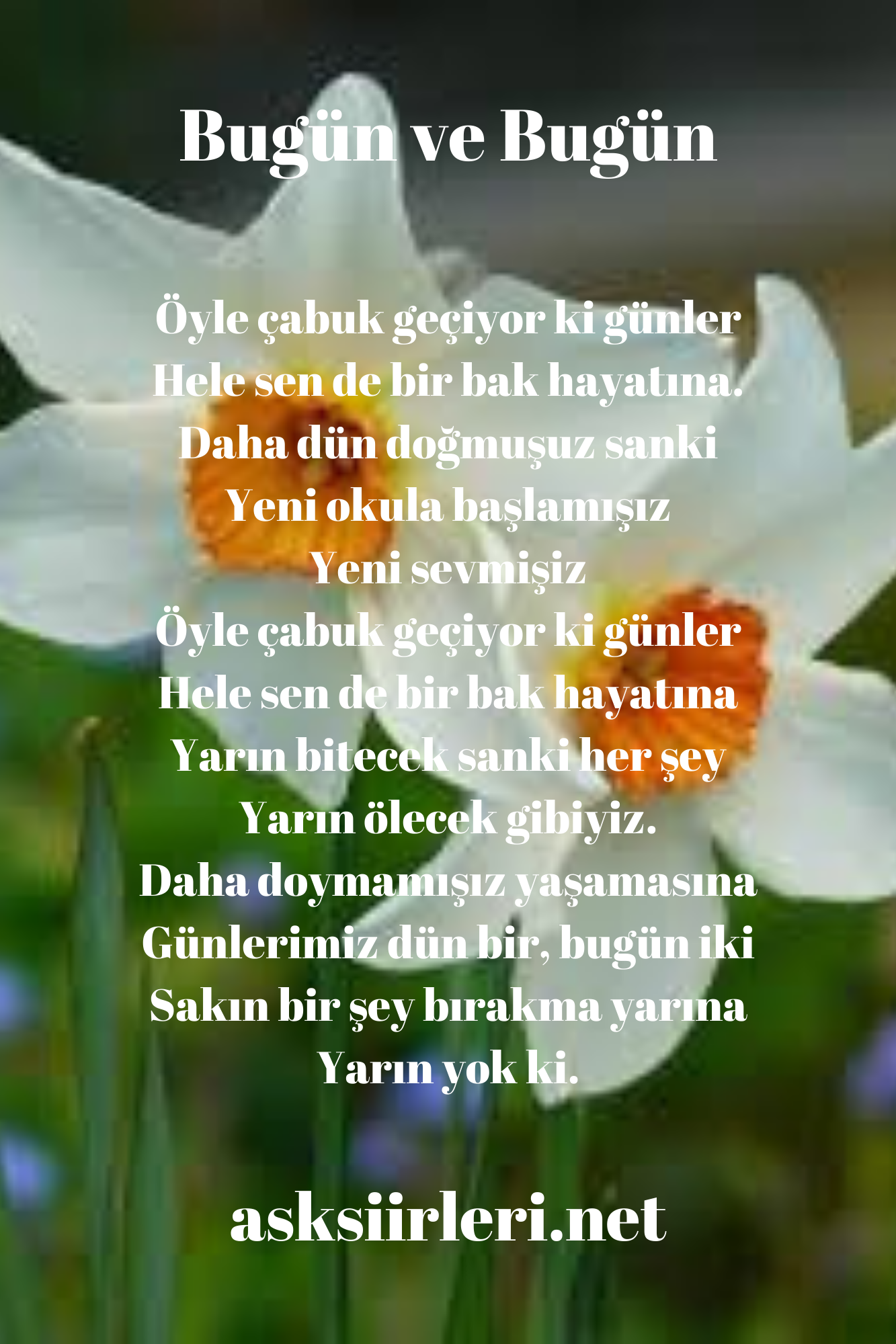 Özdemir Asaf | Bugün ve Bugün | 2024