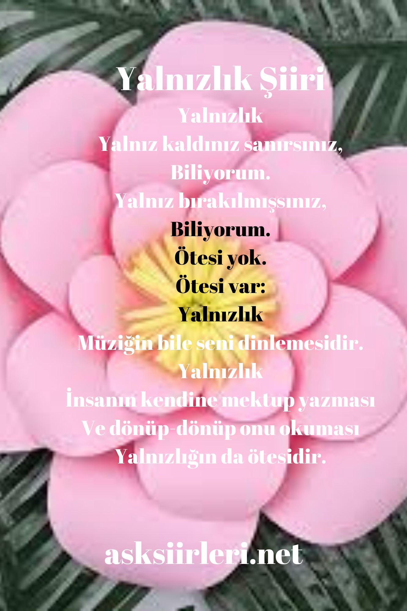 Özdemir Asaf En Sevilen Şiirleri | Yalnızlık | 2024