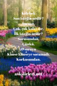 Özdemir Asaf | Kelebek Şiiri | 2024