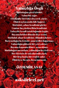 Özdemir Asaf Şiirleri | Yalnızlığa Övgü | 2024