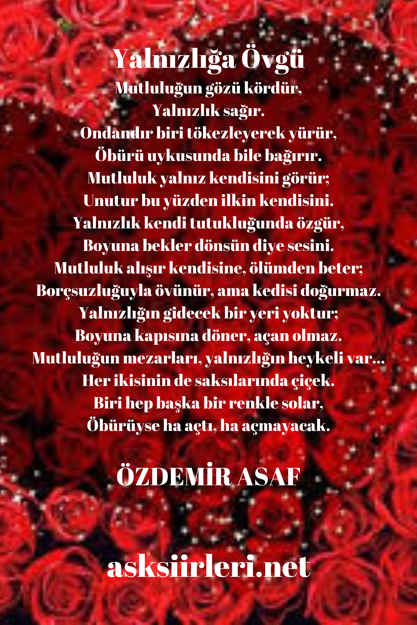 Özdemir Asaf Şiirleri | Yalnızlığa Övgü | 2024