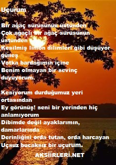 Edip Cansever | Uçurum | 2024