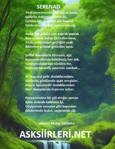 Ahmet Muhip Dıranas | Serenad | 2024