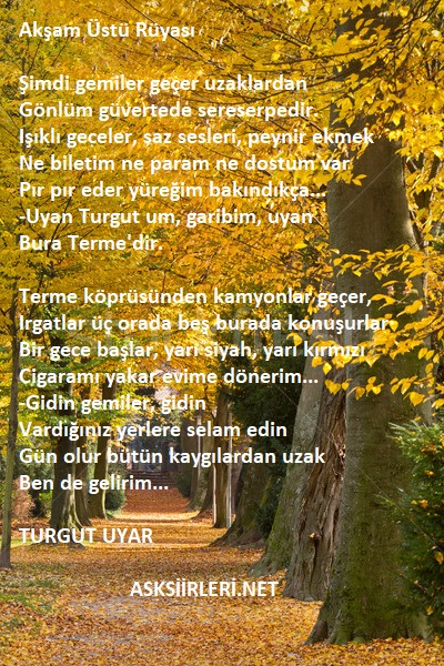Akşam Üstü Rüyası | Turgut Uyar | 2024