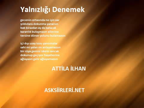 Attila İlhan | Yalnızlığı Denemek | 2024