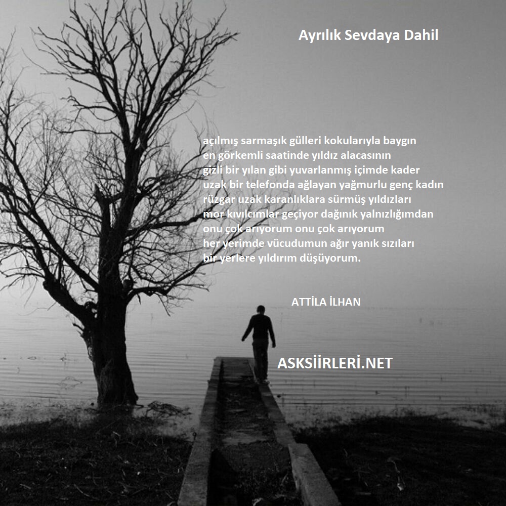 Ayrılık Sevdaya Dahil | Attila İlhan | 2024