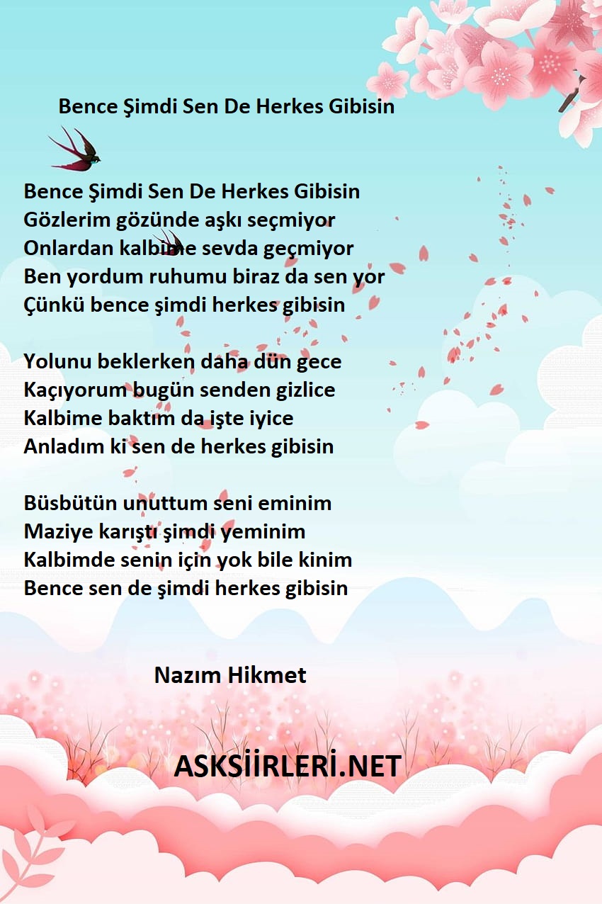 Bence Şimdi Sen De Herkes Gibisin | Nazım | 2024