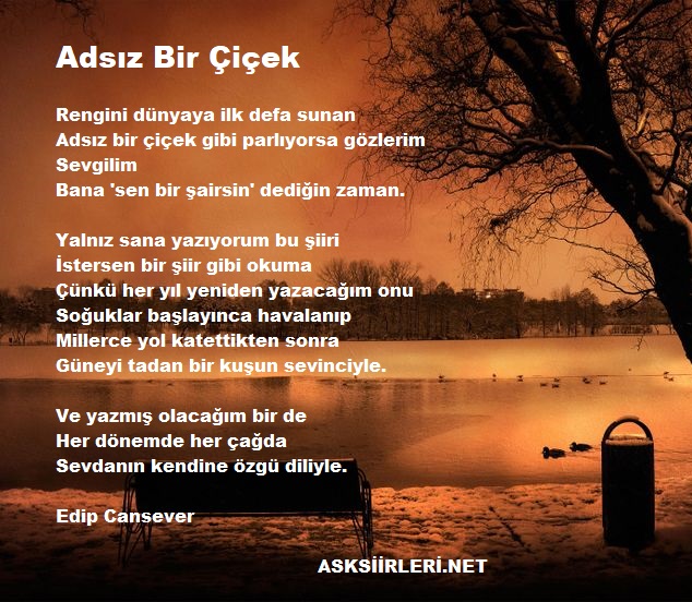 Edip Cansever | 2024 | Adsız Bir Çiçek