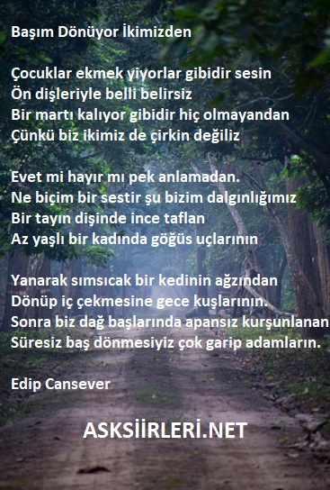 Edip Cansever | Başım Dönüyor İkimizden | 2024