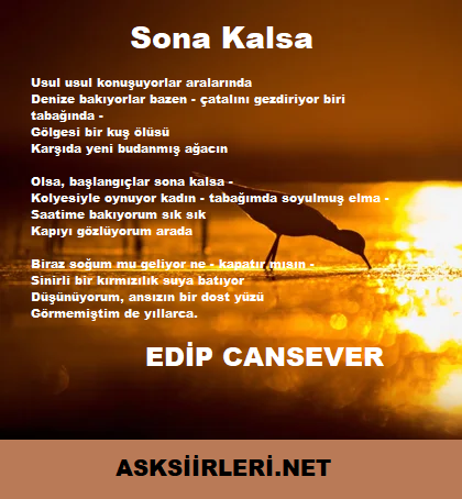 Edip Cansever | Sona Kalsa | 2024