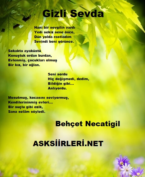 Gizli Sevdanın İzleri | Behçet Necatigil | 2024