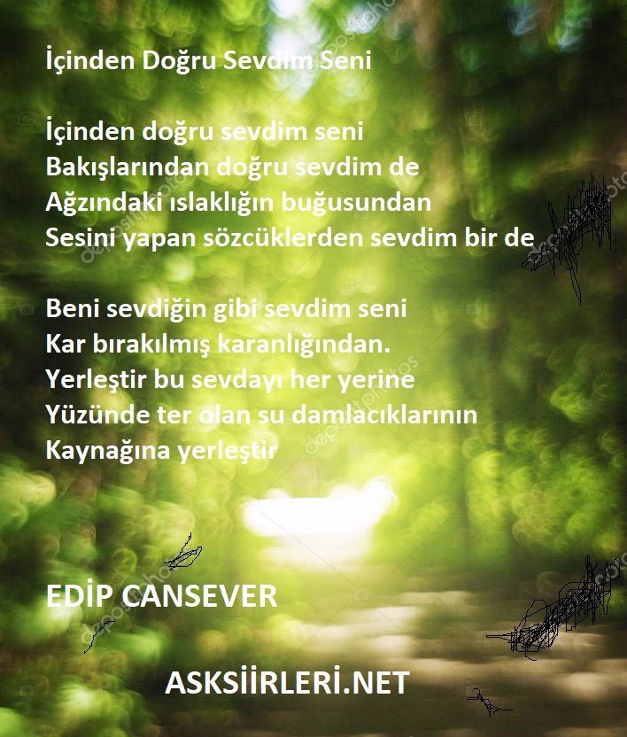 İçinden Doğru Sevdim Seni | Edip Cansever | 2024
