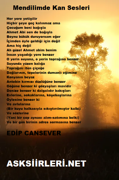 Mendilimde Kan Sesleri | Edip Cansever | 2024