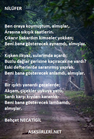 Nilüfer Şiiri | Behçet Necatigil | 2024