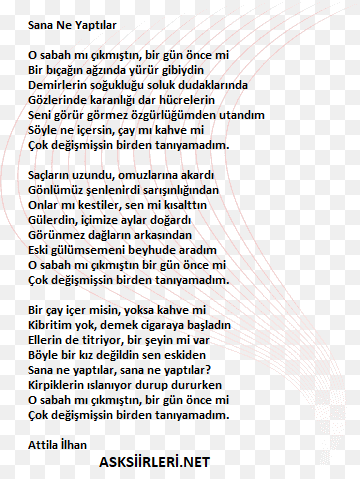 Sana Ne Yaptılar | Attila İlhan | 2024