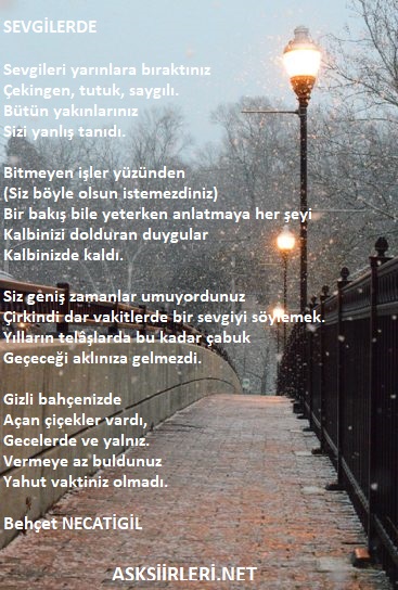 Sevgilerde Şiiri | Behçet Necatigil | 2024