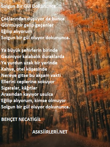 Solgun Bir Gül Dokununca | Behçet Necatigil | 2024