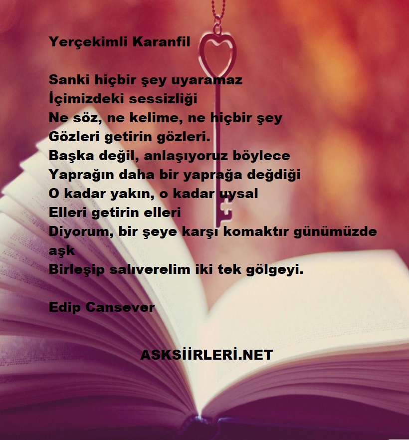 Yerçekimli Karanfil | Edip Cansever | 2024