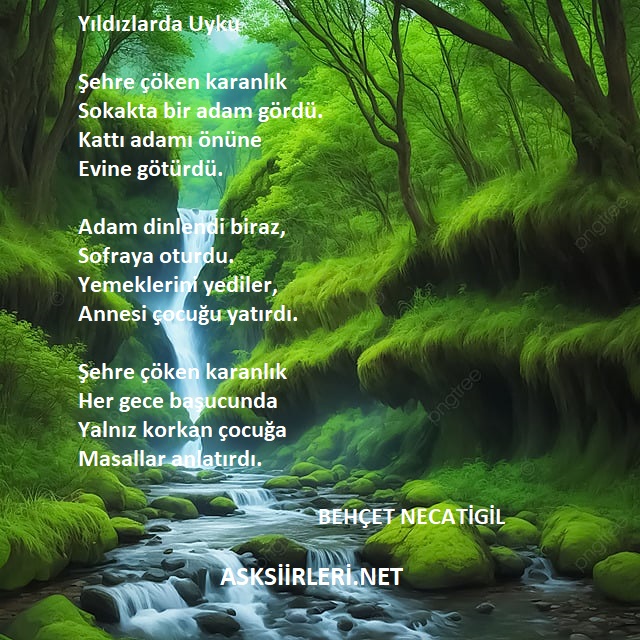 Yıldızlarda Uyku | Behçet Necatigil | 2024
