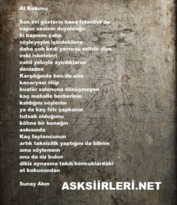 At Kokusu | Sunay Akın | 2024
