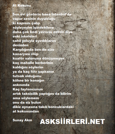 At Kokusu | Sunay Akın | 2024