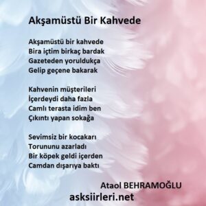 Ataol Behramoğlu | Akşamüstü Bir Kahvede Şiiri | 2024