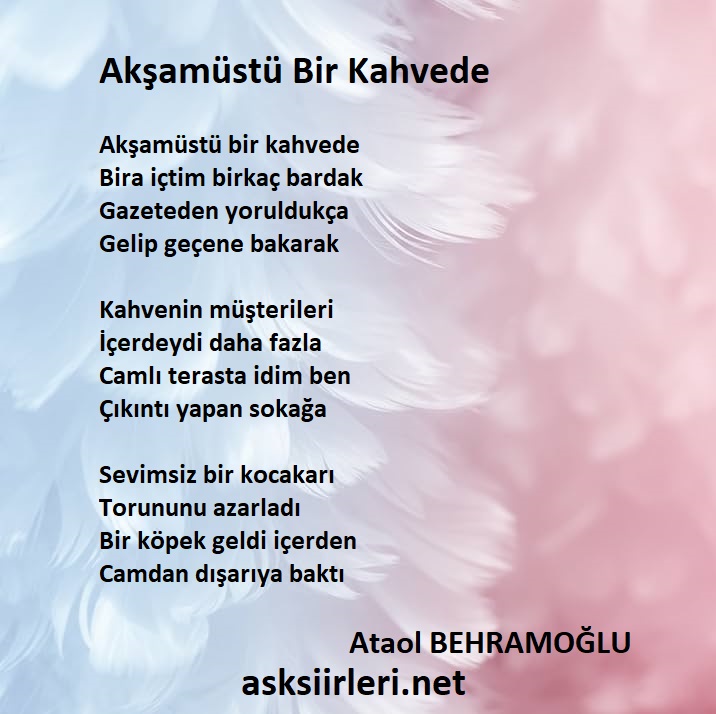Ataol Behramoğlu | Akşamüstü Bir Kahvede Şiiri | 2024