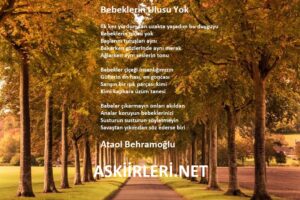 Ataol Behramoğlu | Bebeklerin Ulusu Yok | 2024