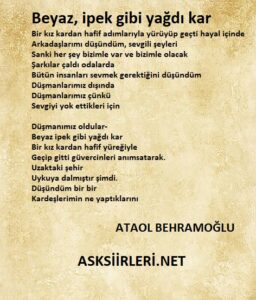 Ataol Behramoğlu | Beyaz İpek Gibi Yağdı Kar | 2024