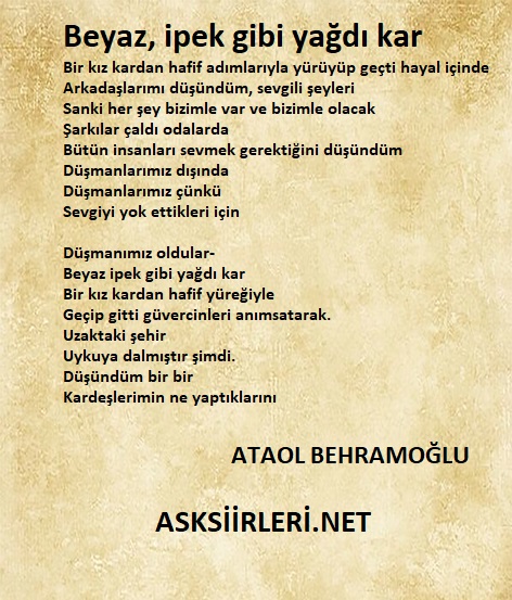Ataol Behramoğlu | Beyaz İpek Gibi Yağdı Kar | 2024