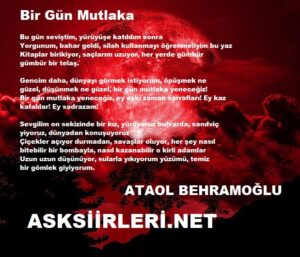 Ataol Behramoğlu | Bir Gün Mutlaka | 2024