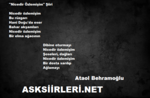 Ataol Behramoğlu | Nicedir Özlemişim | 2024