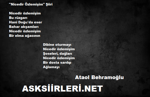 Ataol Behramoğlu | Nicedir Özlemişim | 2024
